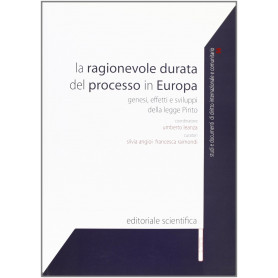 La ragionevole durata del processo in Europa. Genesi effetti e sviluppi della legge Pinto.