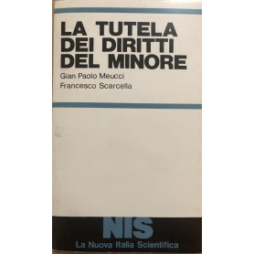 La tutela dei diritti del minore.