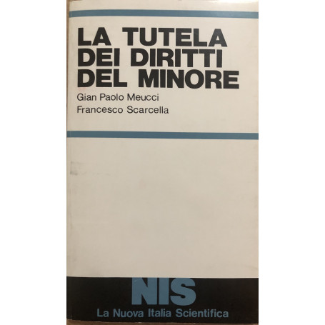 La tutela dei diritti del minore.