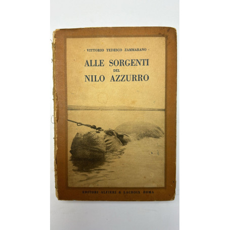 Alle sorgenti del Nilo azzurro