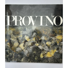 Provino terra. Catalogo della mostra al palazzo delle esposizioni fatta nel 1991