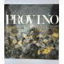 Provino terra. Catalogo della mostra al palazzo delle esposizioni fatta nel 1991