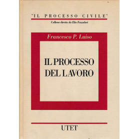 Il processo del lavoro (Vol. 4)