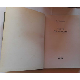 Vita di Michelangelo