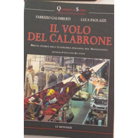 Il volo del calabrone : breve storia dell'economia italiana nel Novecento