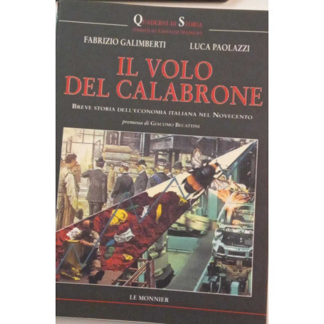 Il volo del calabrone : breve storia dell'economia italiana nel Novecento