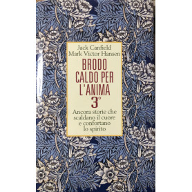 Brodo caldo per l'anima. Vol. 3°