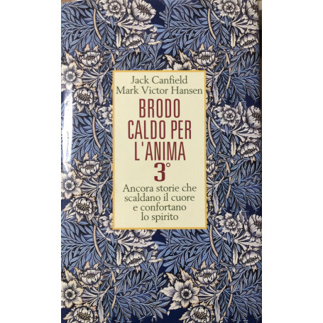Brodo caldo per l'anima. Vol. 3°