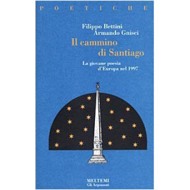 Il cammino di Santiago