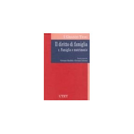 Il diritto di famiglia. Famiglia e matrimonio (Vol. 1)