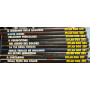 Lotto 10 fumetti Dylan Dog ( n° 279-280-282-283-284-289-291-293-297-298).