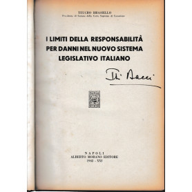 I limiti della responsabilità per danni nel nuovo sistema legislativo italiano.