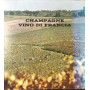 Champagne vino di Francia