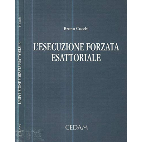 L'esecuzione forzata esattoriale.