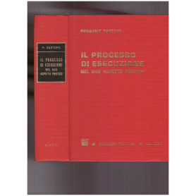 Il processo di esecuzione nel suo aspetto pratico