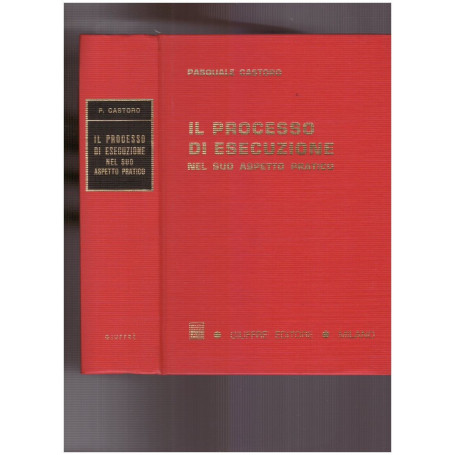 Il processo di esecuzione nel suo aspetto pratico