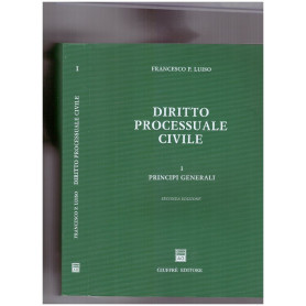 Diritto processuale civile I. Principi generali