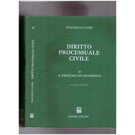 Diritto processuale civile. Il processo di cognizione (Vol. 2)