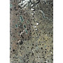 Metamorfosi vv. 5-88.