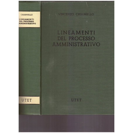 Lineamenti del processo amministrativo