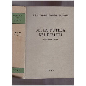 Della Tutela dei Diritti . Trascrizione - Prove