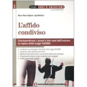 L'affido condiviso. Giurisprudenza e prassi a due anni dall'entrata in vigore della legge 54/2006