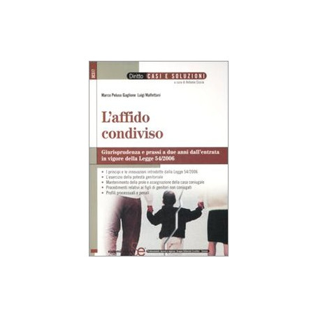 L'affido condiviso. Giurisprudenza e prassi a due anni dall'entrata in vigore della legge 54/2006