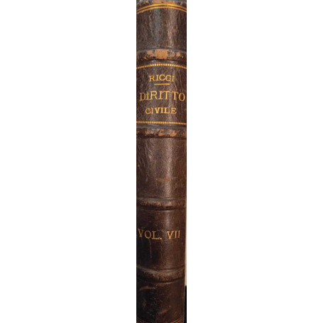 Corso teorio-pratico di diritto civile (volume VII)