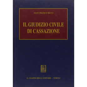 Il giudizio civile di Cassazione