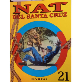 Nat del Santa Cruz. IV serie  n.4 volume n.21.
