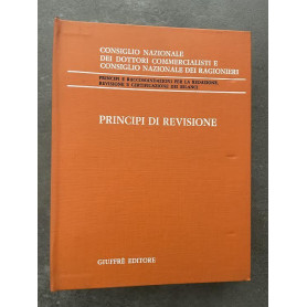 Principi di revisione