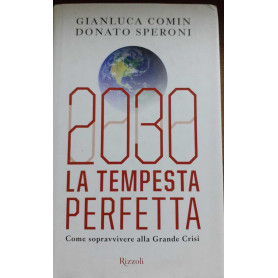 2030. La tempesta perfetta. Come sopravvivere alla grande crisi