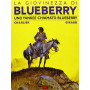 Uno yankee chiamato Bluberry. La giovinezza di Blueberry.