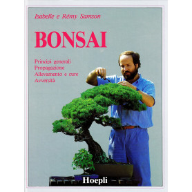 Bonsai.