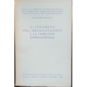 Il fenomeno dell'organizzazione e la comunità internazionale