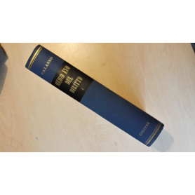 Medio Evo del diritto. Le fonti (Vol. 1).