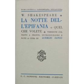 La notte dell'epifania o Quel che volete