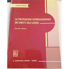La protezione internazionale dei diritti dell'uomo