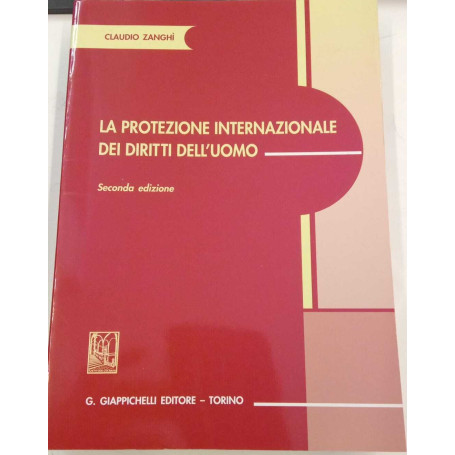 La protezione internazionale dei diritti dell'uomo