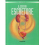 Il sistema escretore.