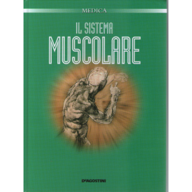 Il sistema muscolare.