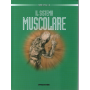 Il sistema muscolare.