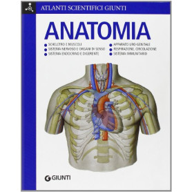 Anatomia