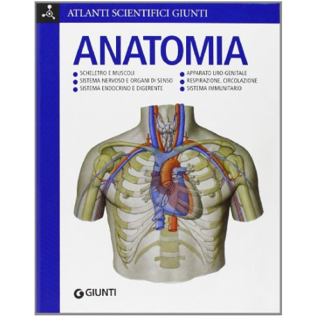 Anatomia