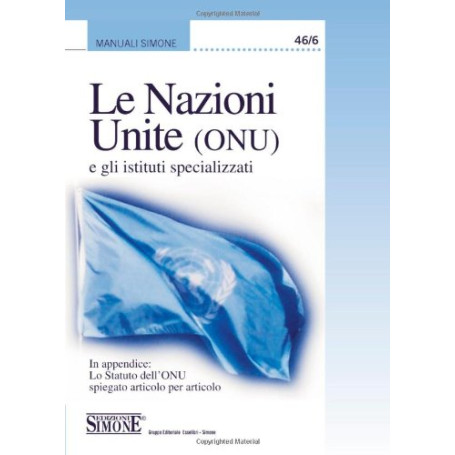 Le Nazioni Unite (ONU) e gli istituti specializzati.