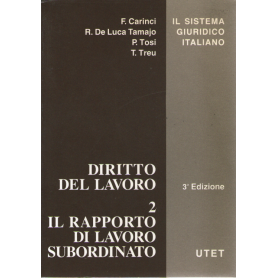 Diritto del lavoro. Vol. 2: Il rapporto di lavoro subordinato.