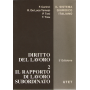Diritto del lavoro. Vol. 2: Il rapporto di lavoro subordinato.