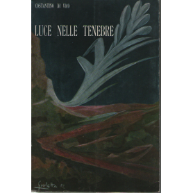 Luce nelle tenebre. Antonio di Padova.