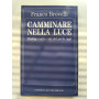 Camminare nella luce. Dialogo sulla vita del prete oggi.