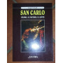 San Carlo. L'uomo il pastore il santo